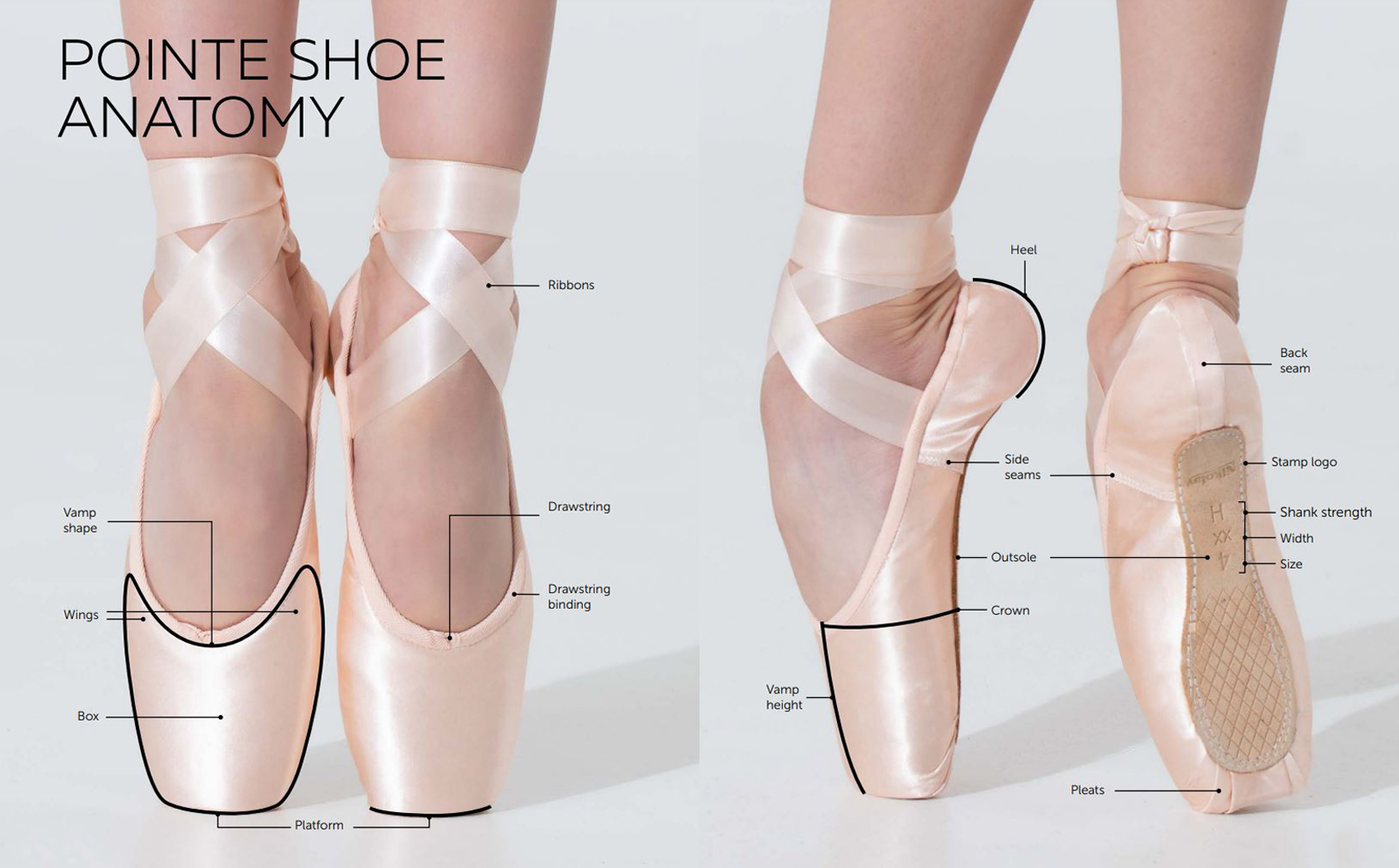 pointe-shoe-anatomy.jpg